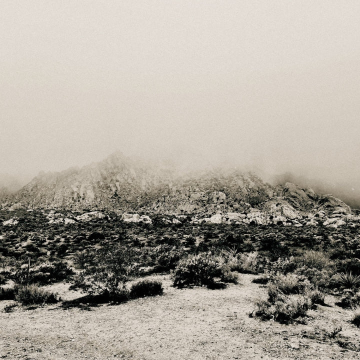 Mnemonic: Ambient Mosaic [LP]