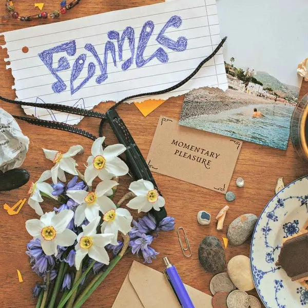 Momentary Pleasure [12" Vinyl]