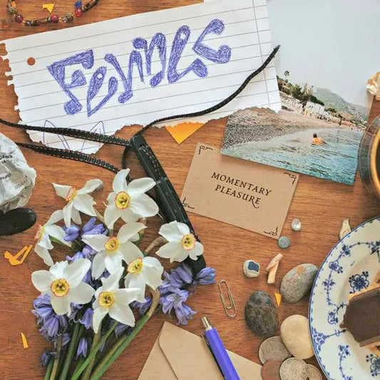 Momentary Pleasure [12" Vinyl]