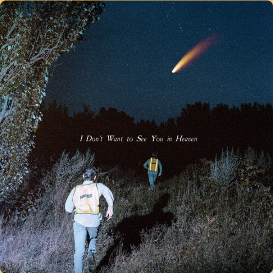 I Don't Want See You In Heaven [LP]