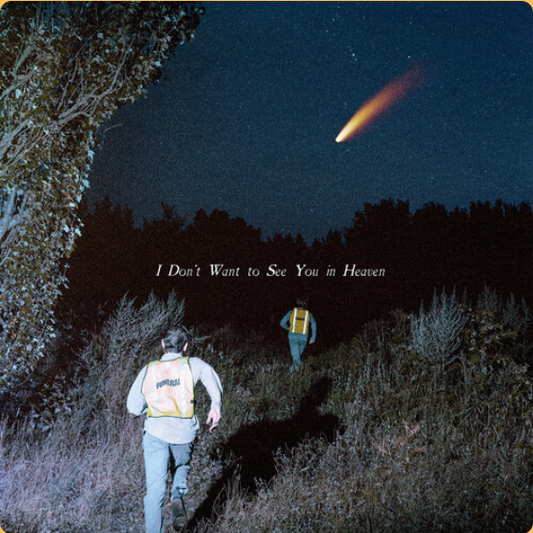 I Don't Want See You In Heaven [LP]