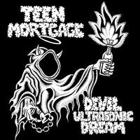 Devil Ultrasonic Dream [LP]